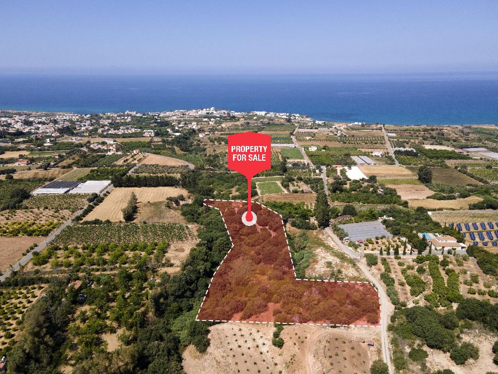 Field - Kissonerga, Paphos