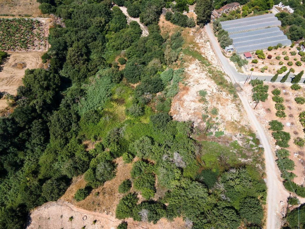 Field - Kissonerga, Paphos