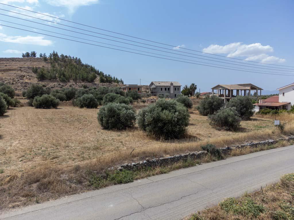 Field-Pera-PR36158