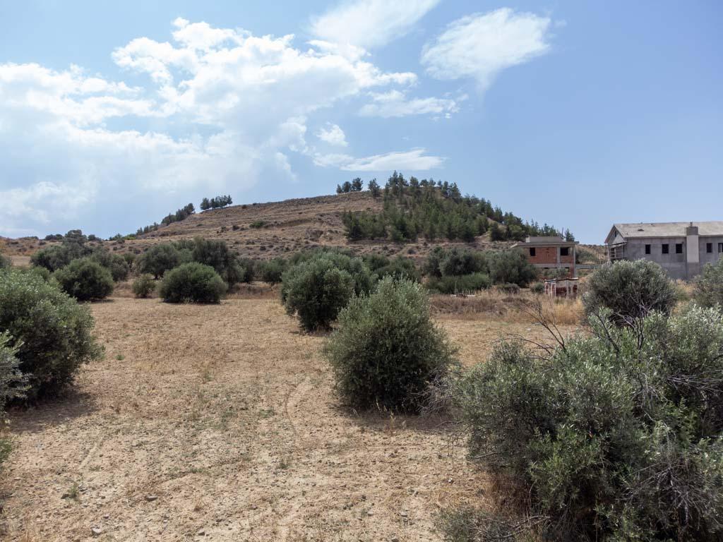Field-Pera-PR36158