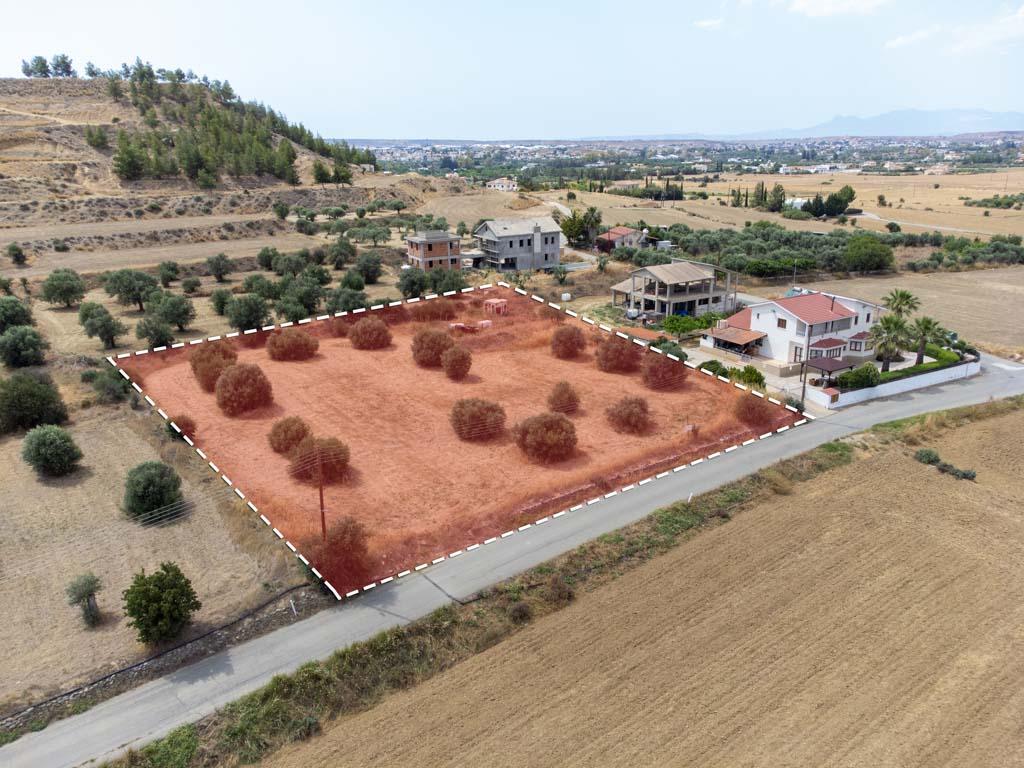 Field-Pera-PR36158