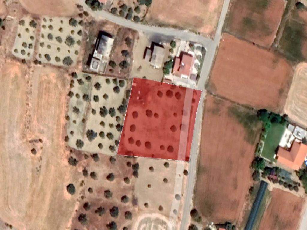 Field-Pera-PR36158