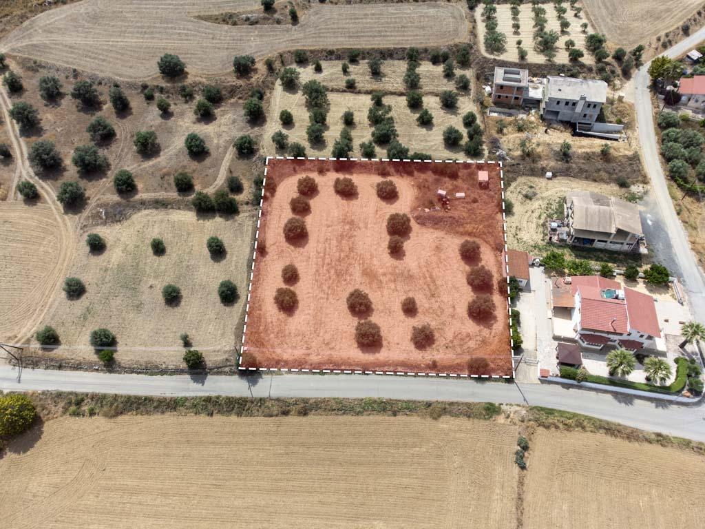 Field-Pera-PR36158