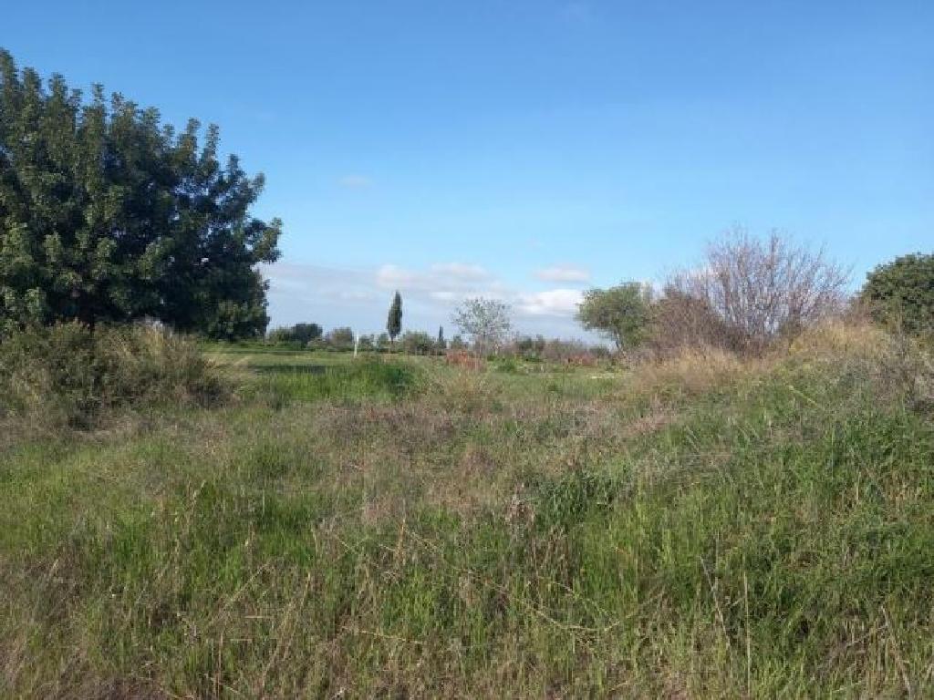 Field (Share)- Pano Kivides, Limassol