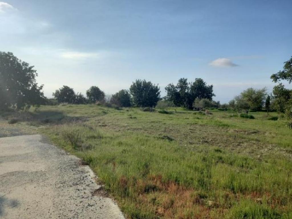 Field (Share)- Pano Kivides, Limassol