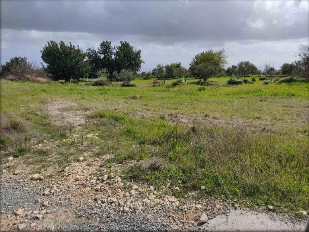 Field (Share)- Pano Kivides, Limassol