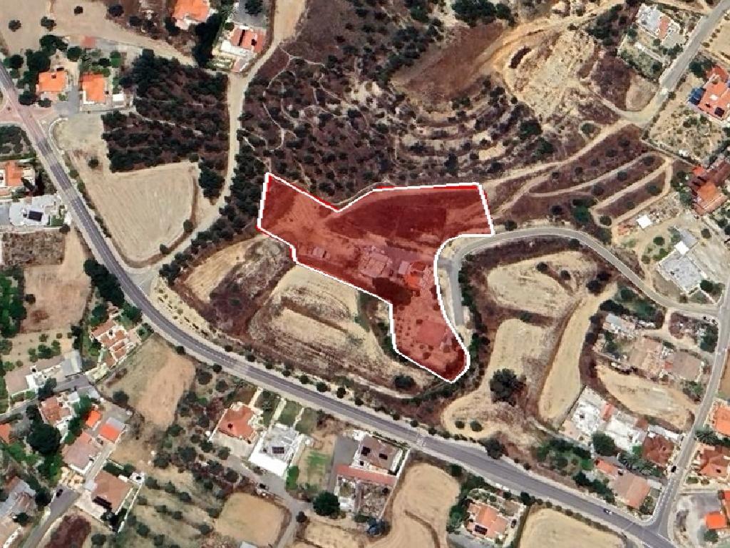 Field-Pera-PR36695