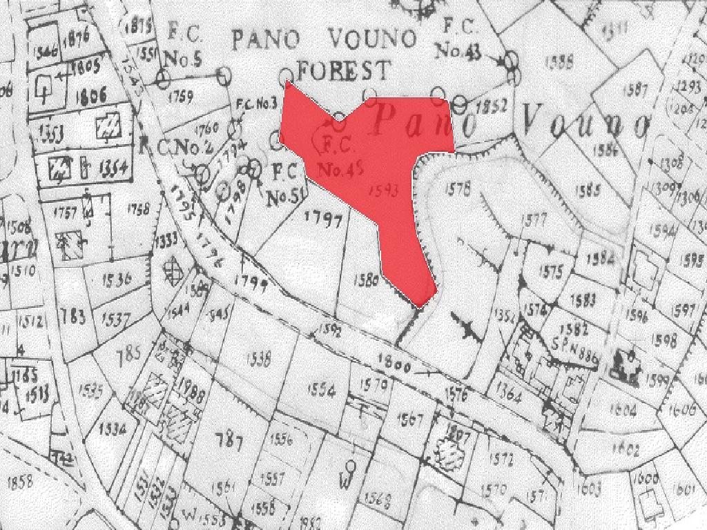 Field-Pera-PR36695