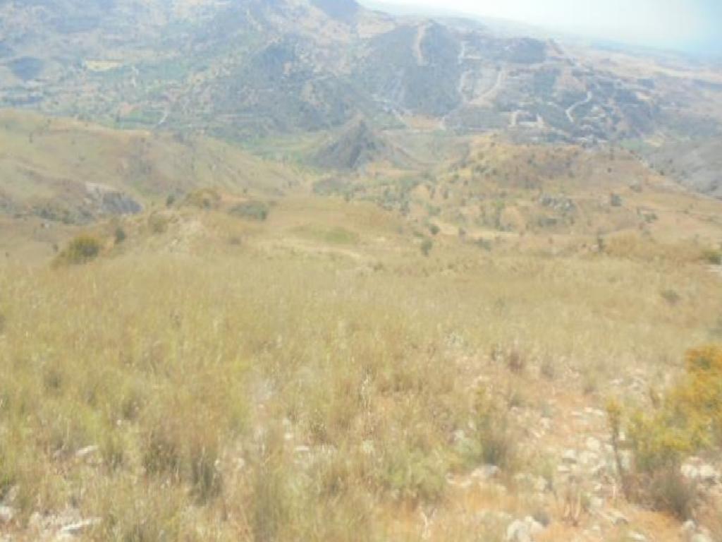 Field-Marathounta-PR36930