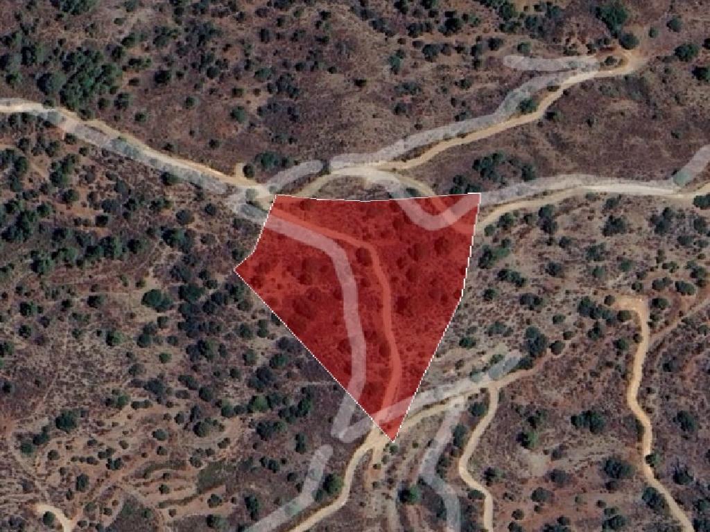 Field-Kalo Chorio-PR37341