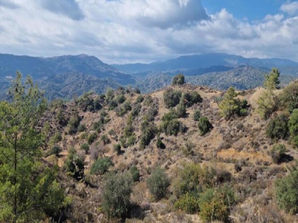 Field - Kalo Chorio, Limassol