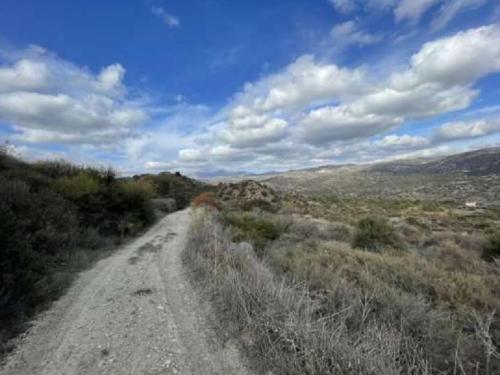 Field - Kalavasos, Larnaca