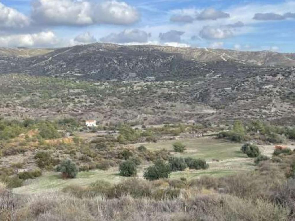 Field - Kalavasos, Larnaca