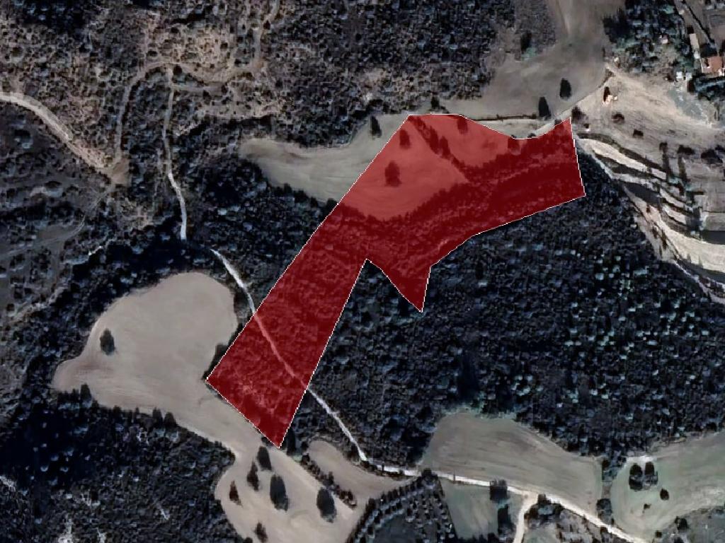 Field - Kalavasos, Larnaca