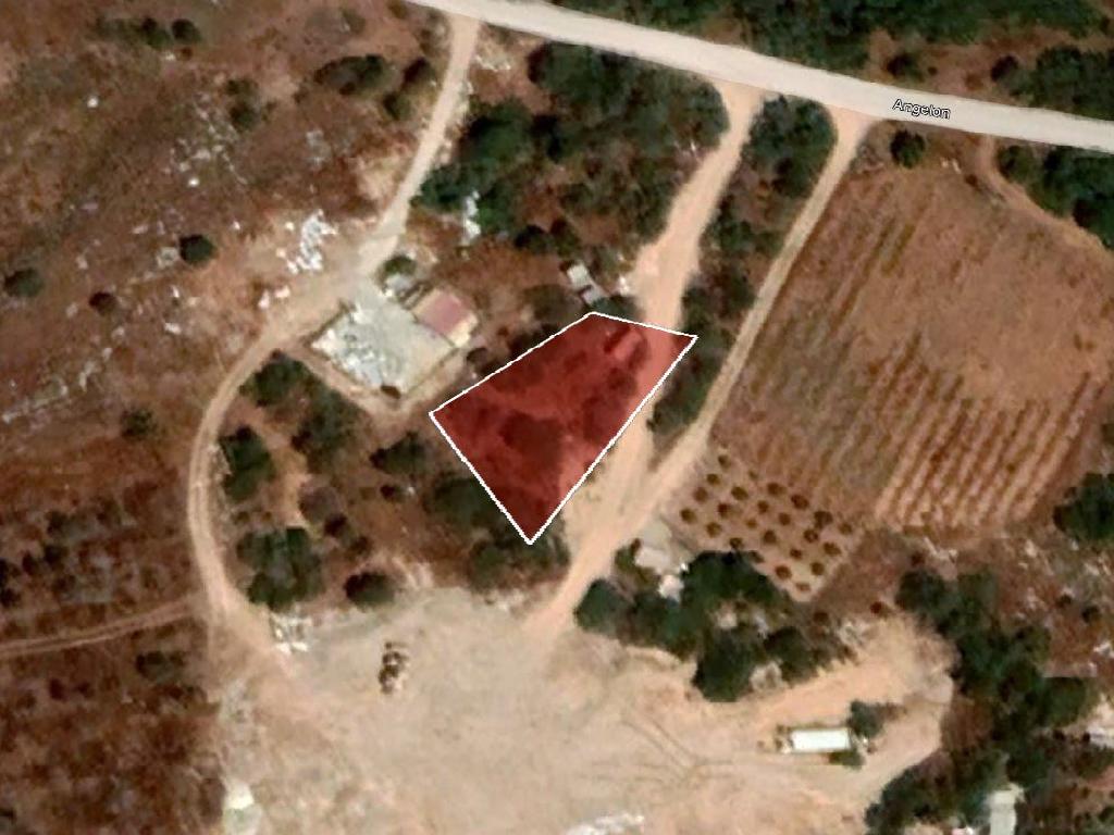 Field - Paralimni, Famagusta
