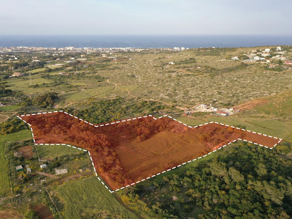 Field-Paralimni-PR36805