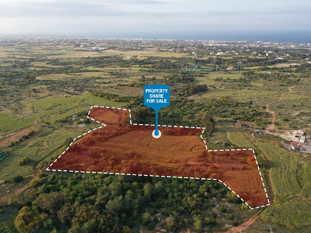 Field-Paralimni-PR36805