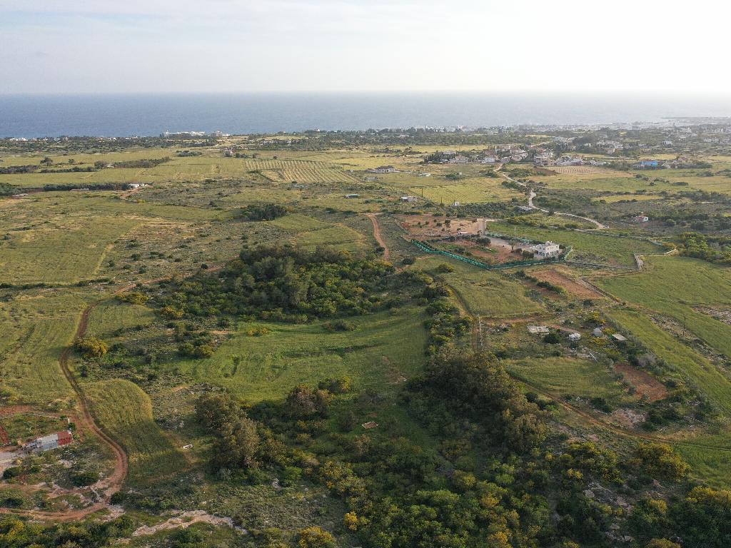 Field-Paralimni-PR36805