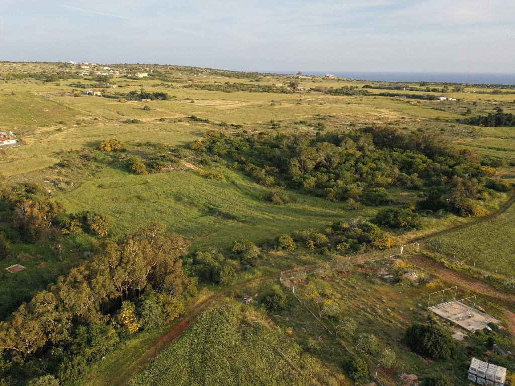 Field-Paralimni-PR36805