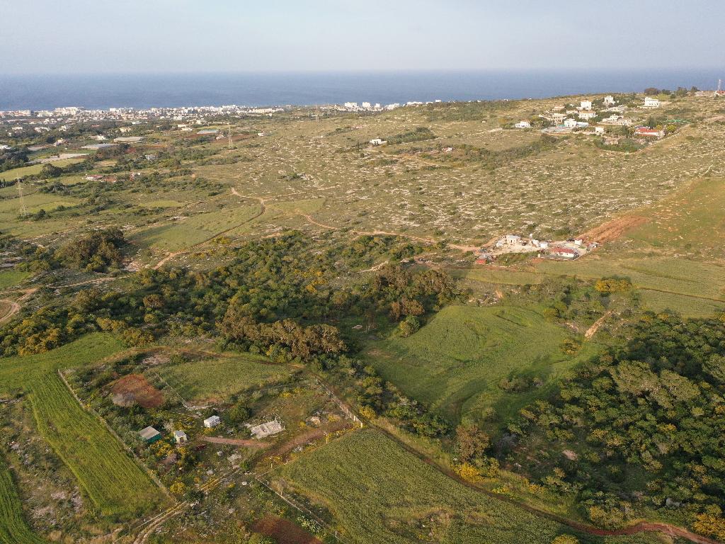 Field-Paralimni-PR36805