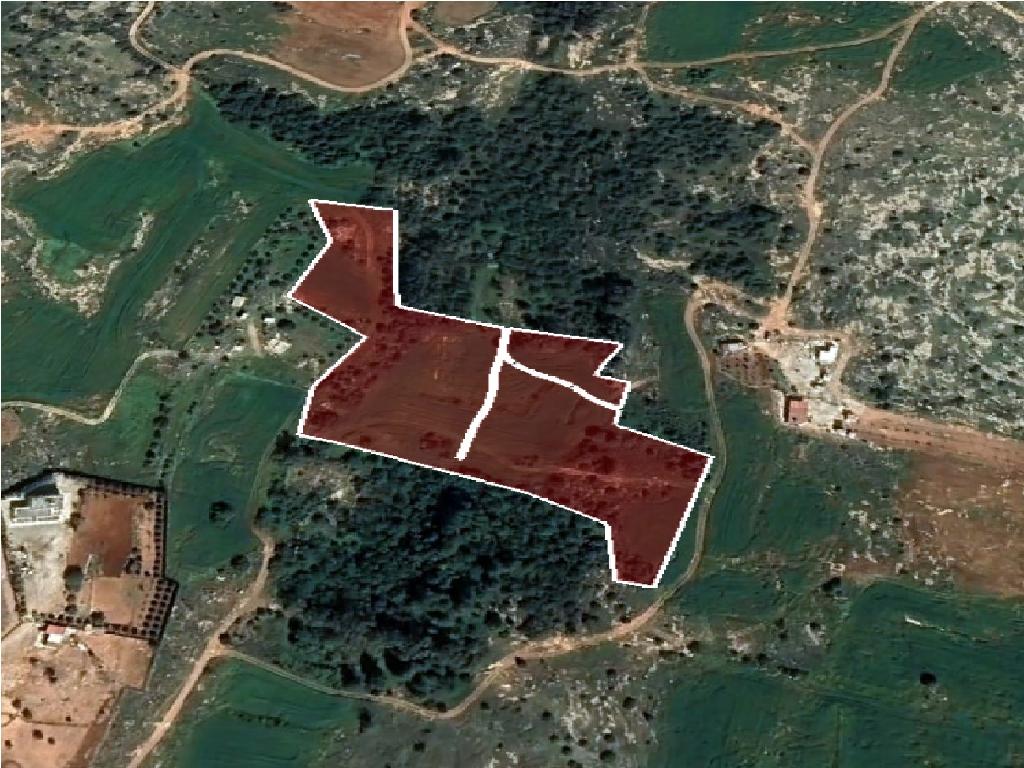 Field-Paralimni-PR36805