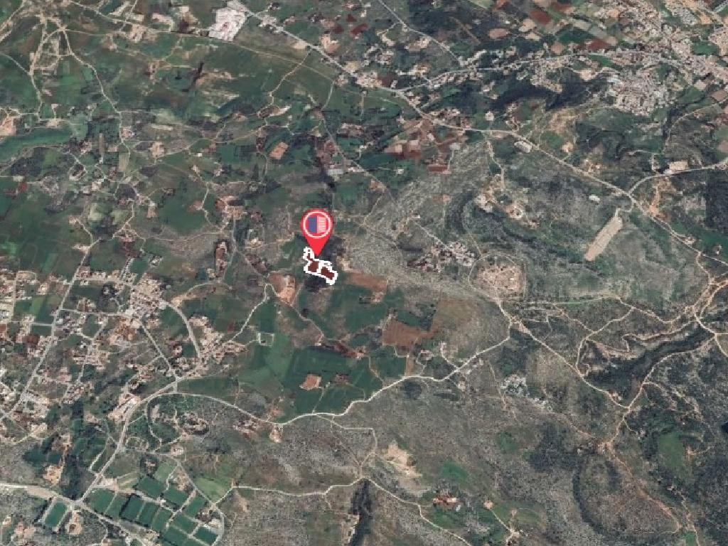 Field-Paralimni-PR36805