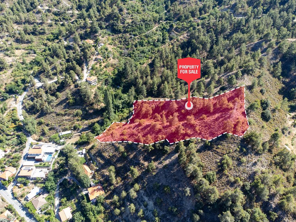 Field-Kakopetria-PR38560