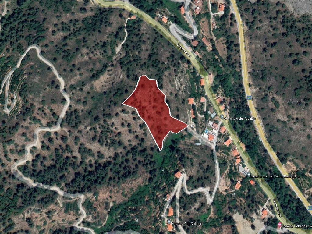 Field-Kakopetria-PR38560