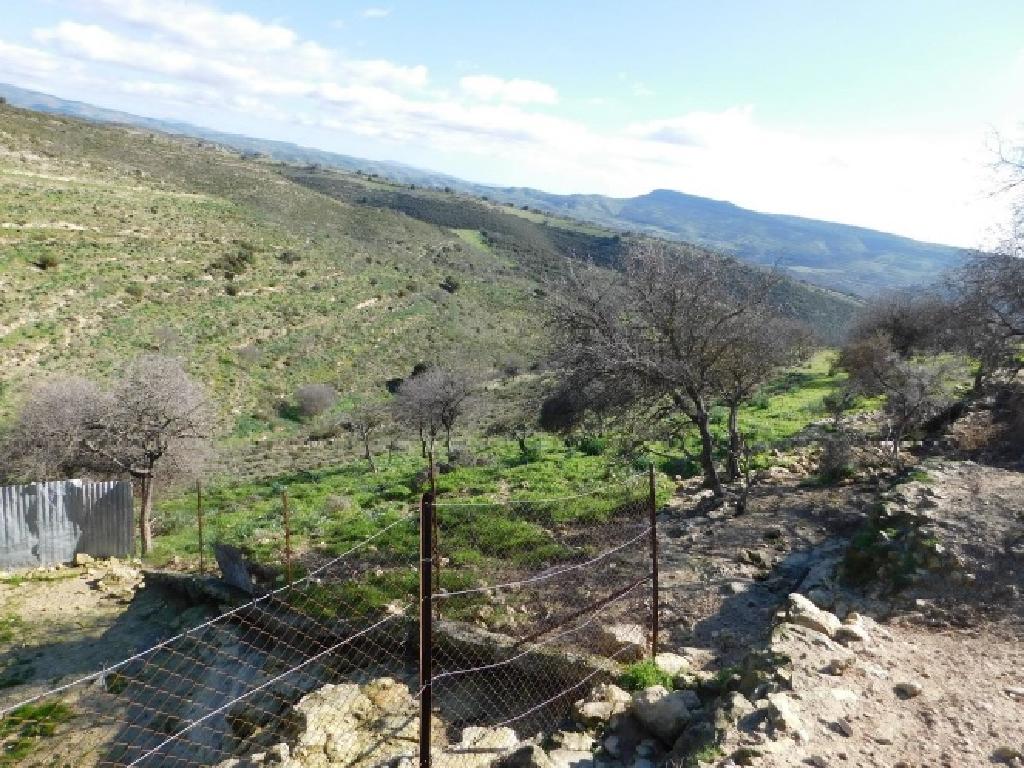 Field-Dora-PR38920