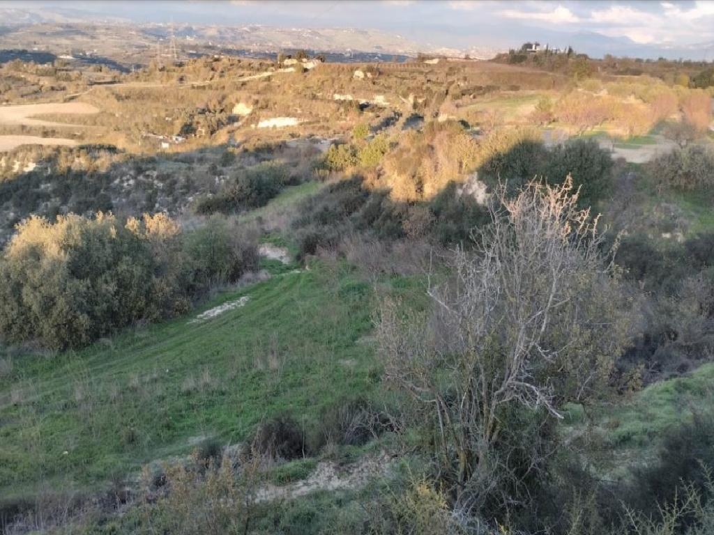 Field-Kallepeia-PR40075
