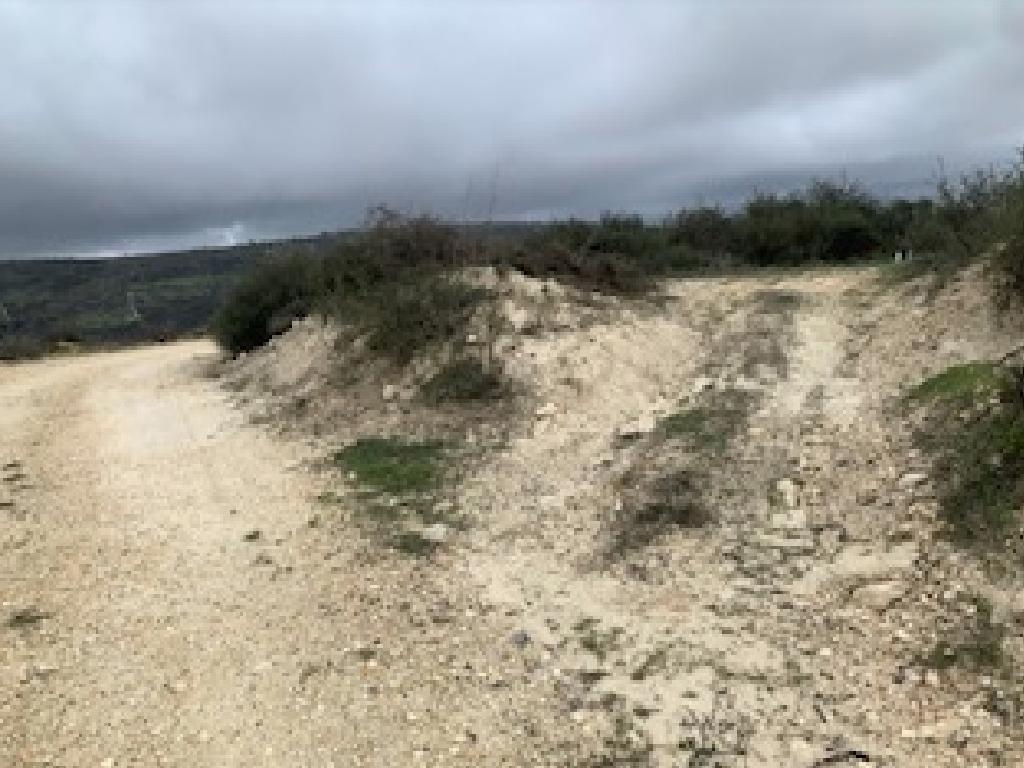 Field-Kallepeia-PR40075