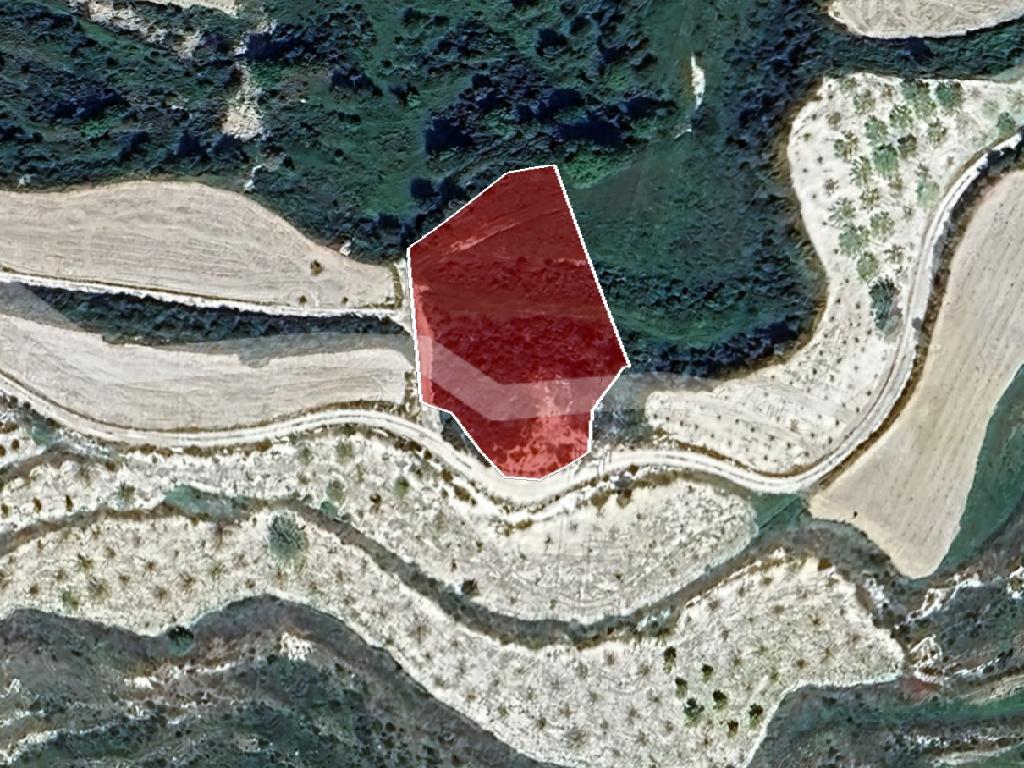 Field-Kallepeia-PR40075