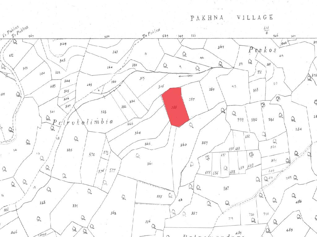 Field-Pachna-PR40216