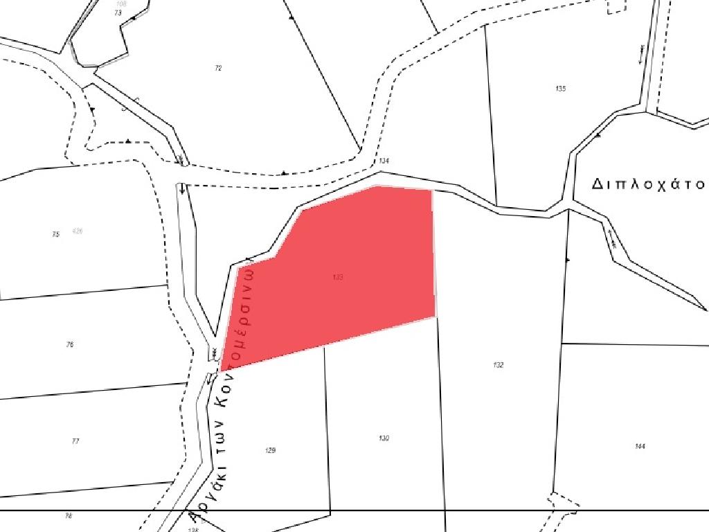 Field-Anarita-PR41099