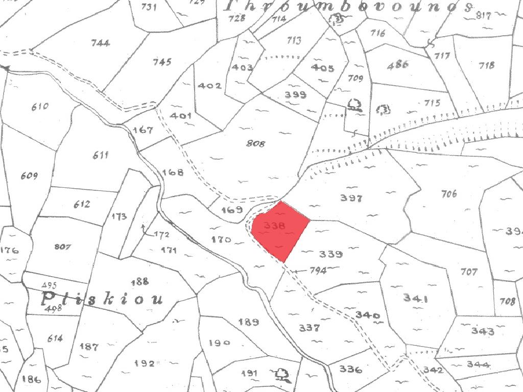 Field-Dora-PR41711