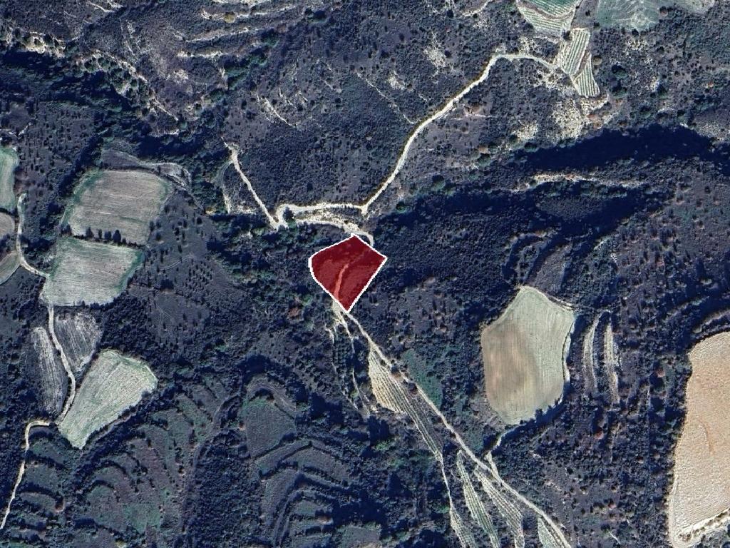 Field-Dora-PR41711