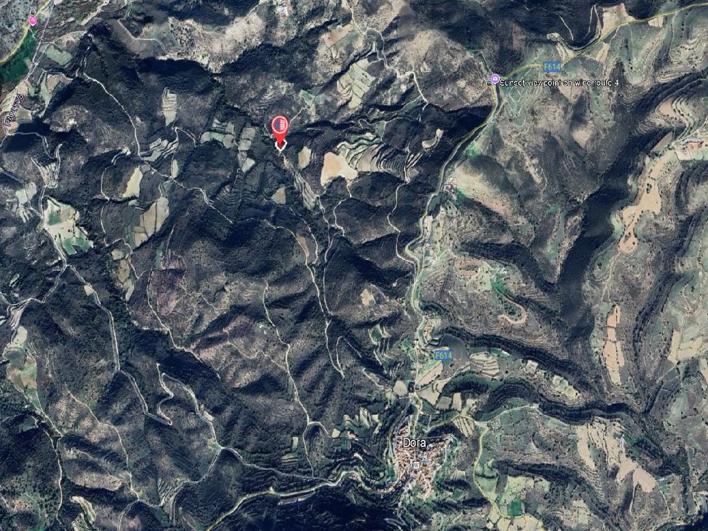 Field-Dora-PR41711