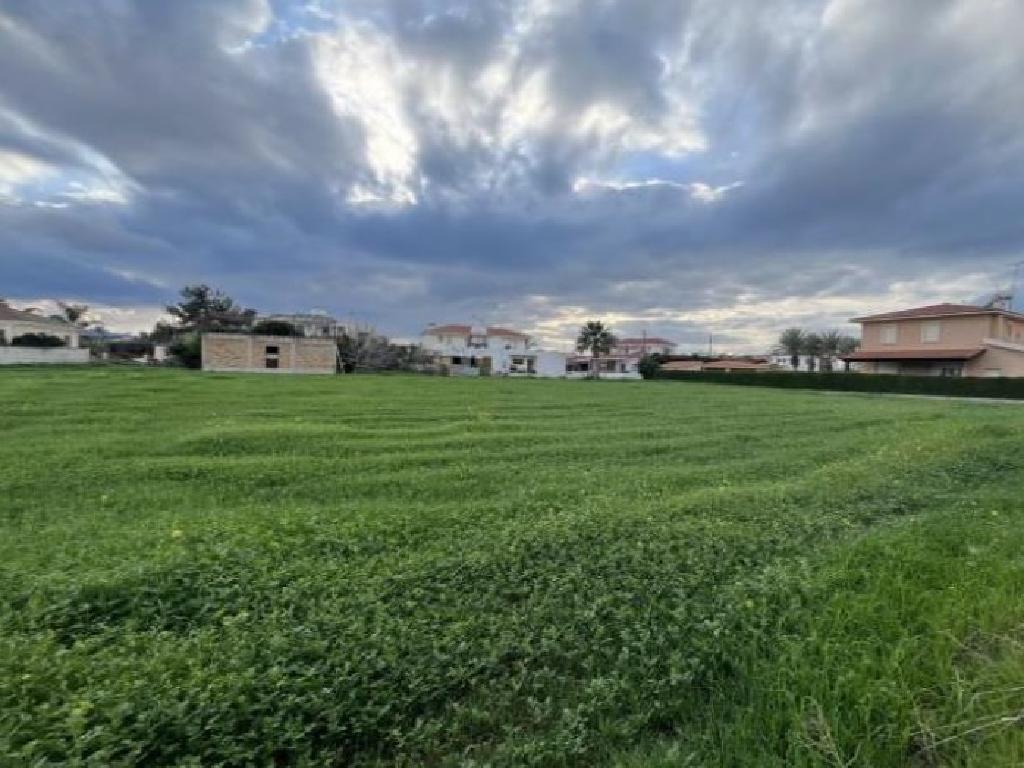 Field-Arediou-PR41837