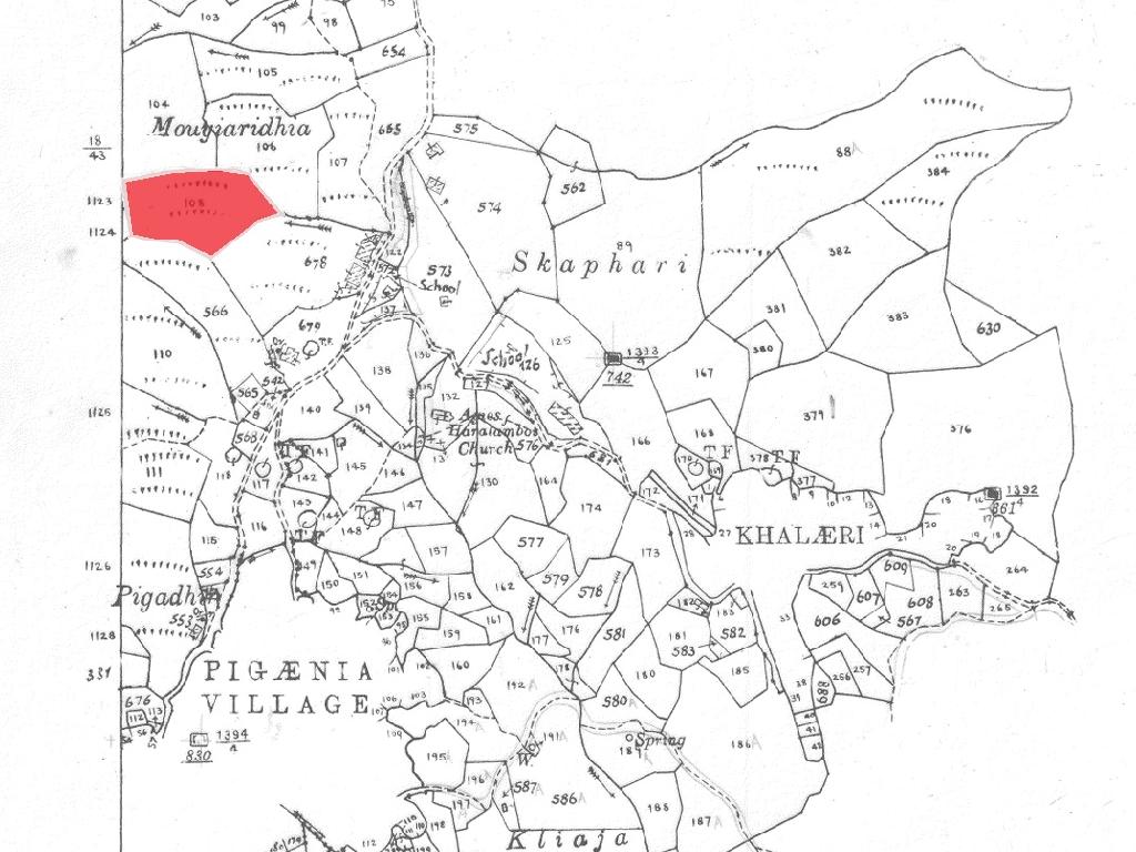 Field-Pigenia-PR42224