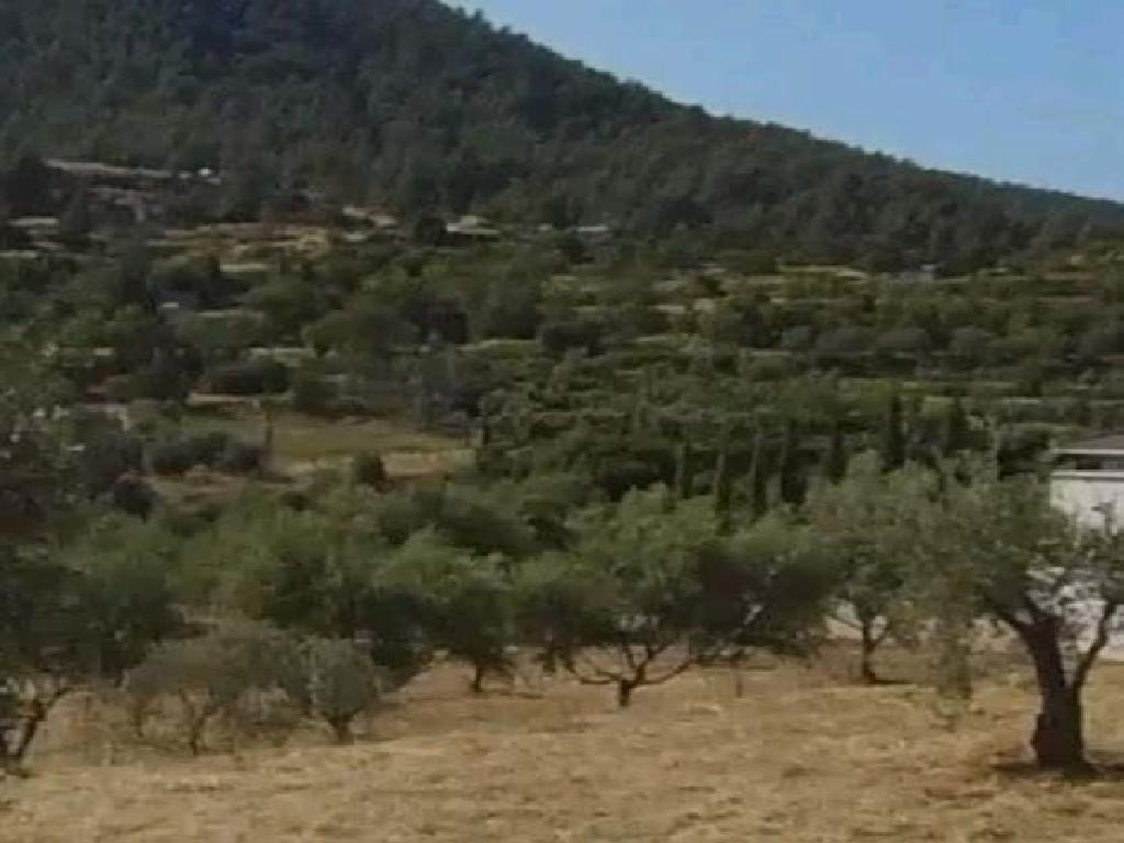 Field-Agios Epifanios (Oreinis)-PR42520