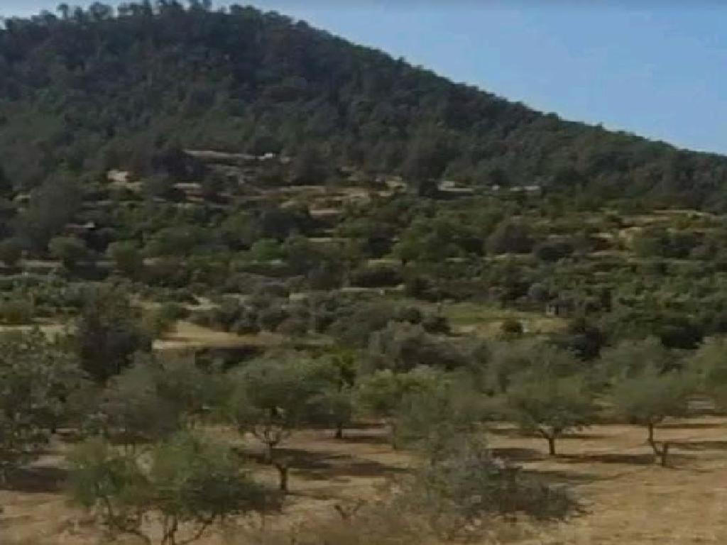 Field-Agios Epifanios (Oreinis)-PR42520