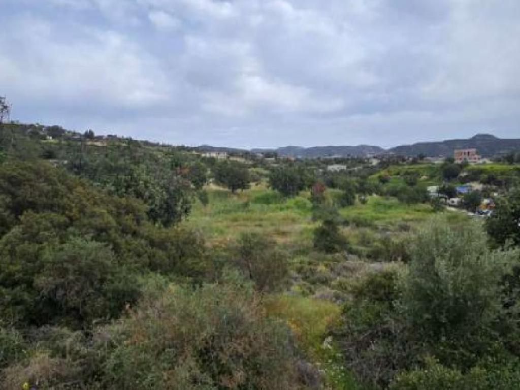 Field (share) - Spitali, Limassol