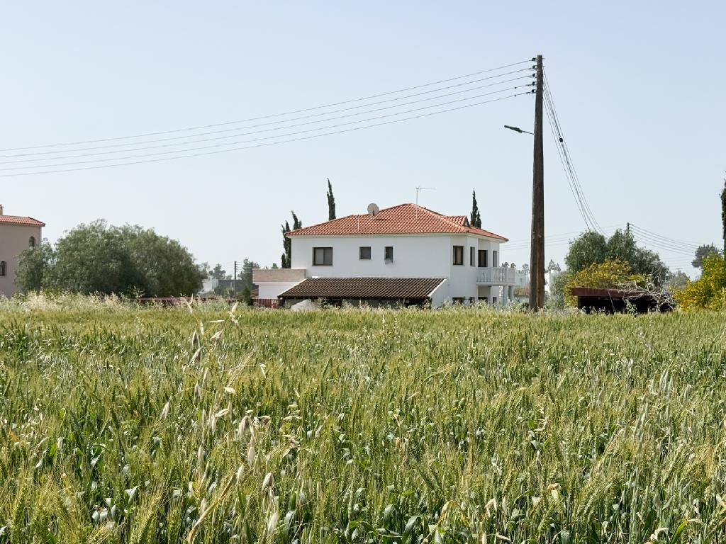 Field, Meneou, Dromolaxia-Meneou, Larnaca