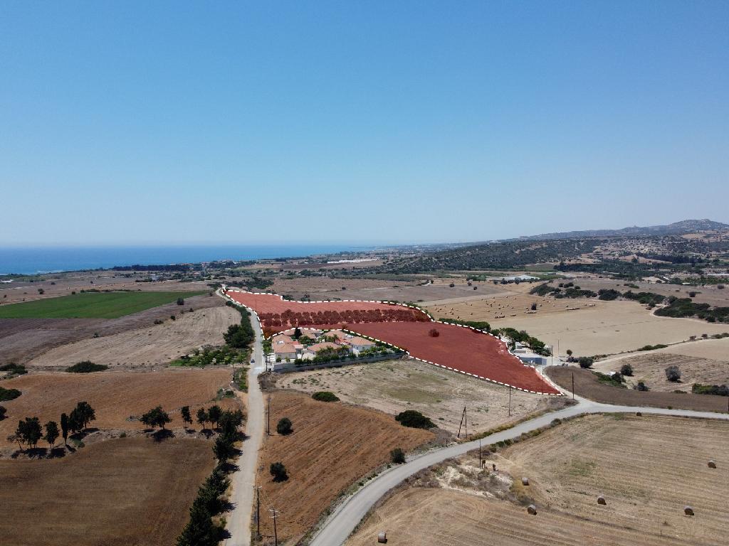 Field (Share) - Anafotida, Larnaca