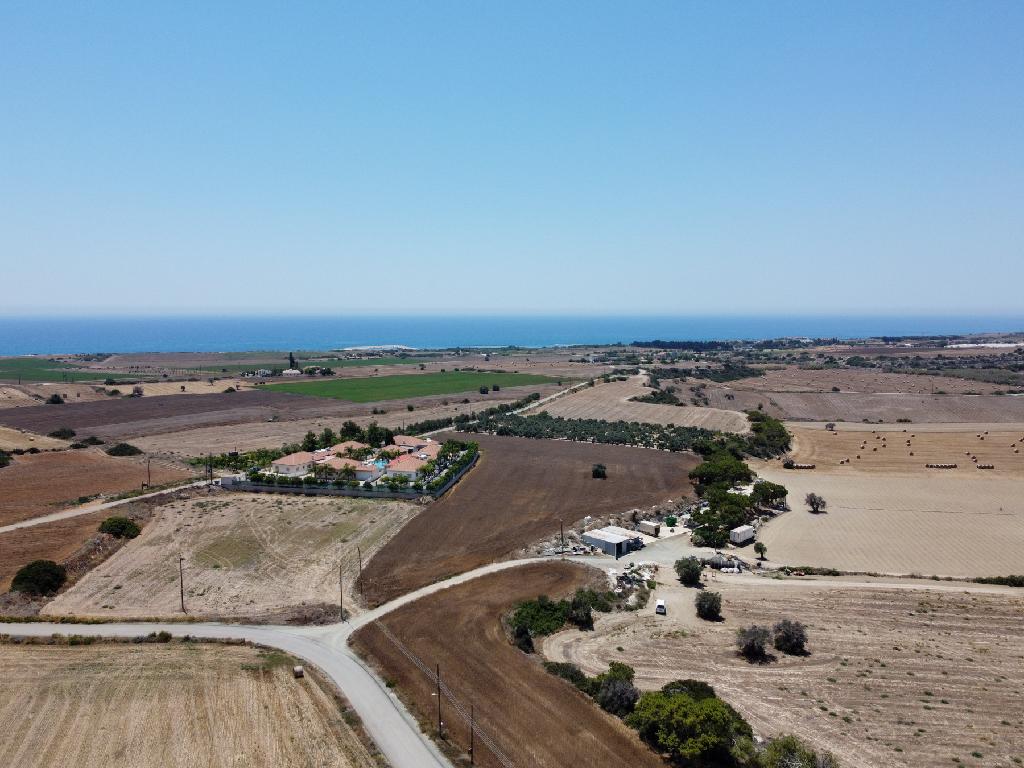 Field-Anafotida-PR42571