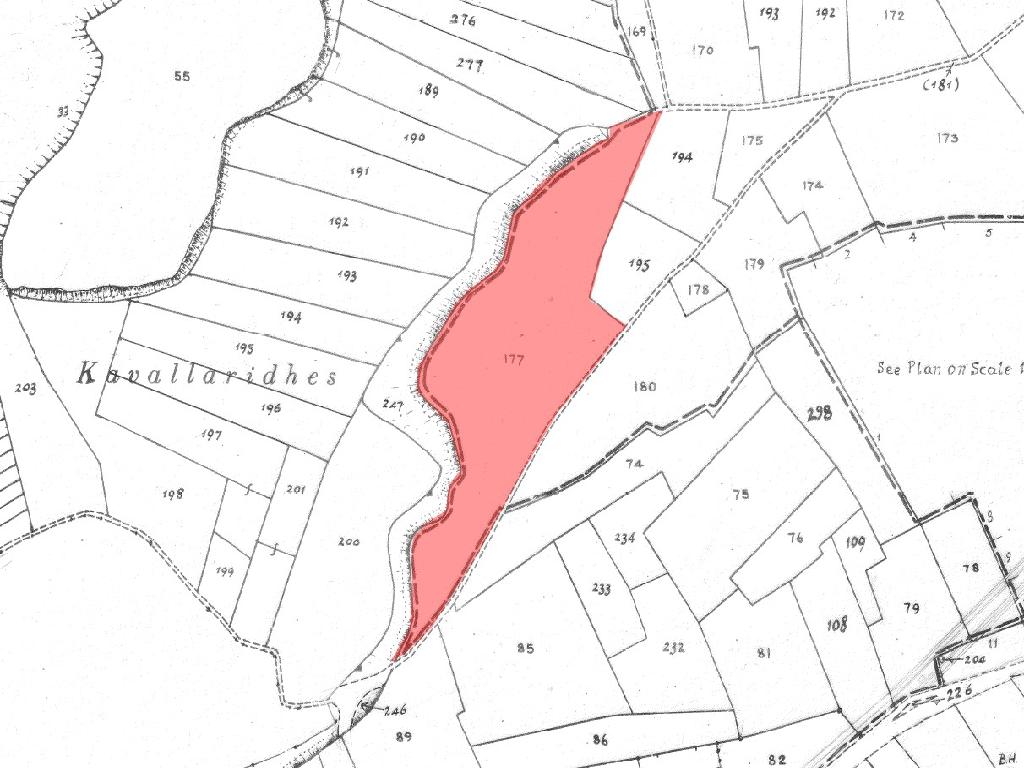 Field-Anafotida-PR42571