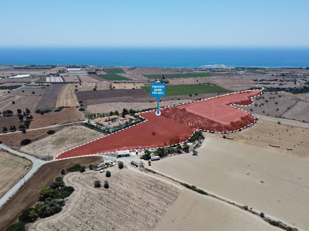 Field (Share) - Anafotida, Larnaca