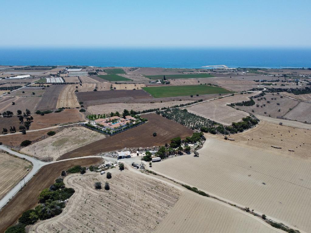 Field (Share) - Anafotida, Larnaca