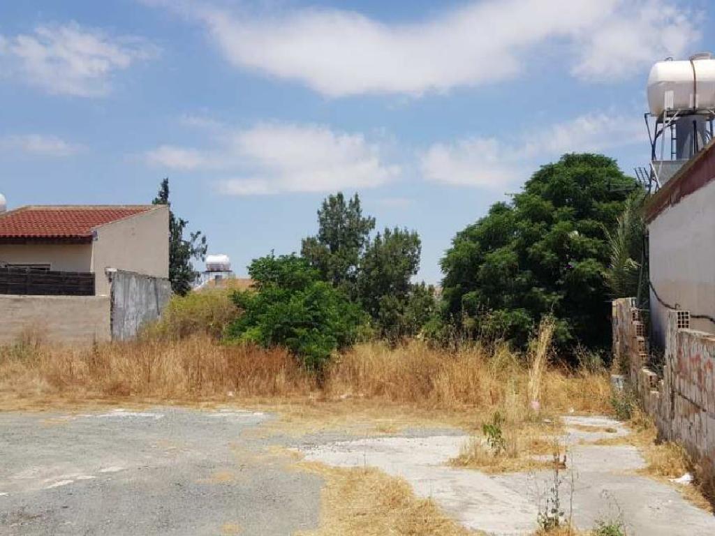 Field - Aradippou, Larnaca