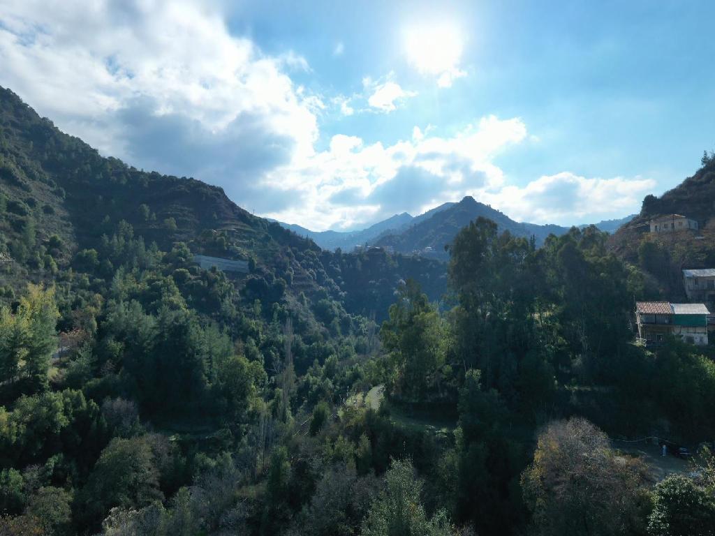 Field-Kalopanagiotis-PR12575